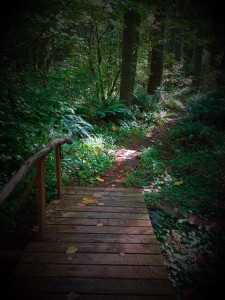 path at retreat